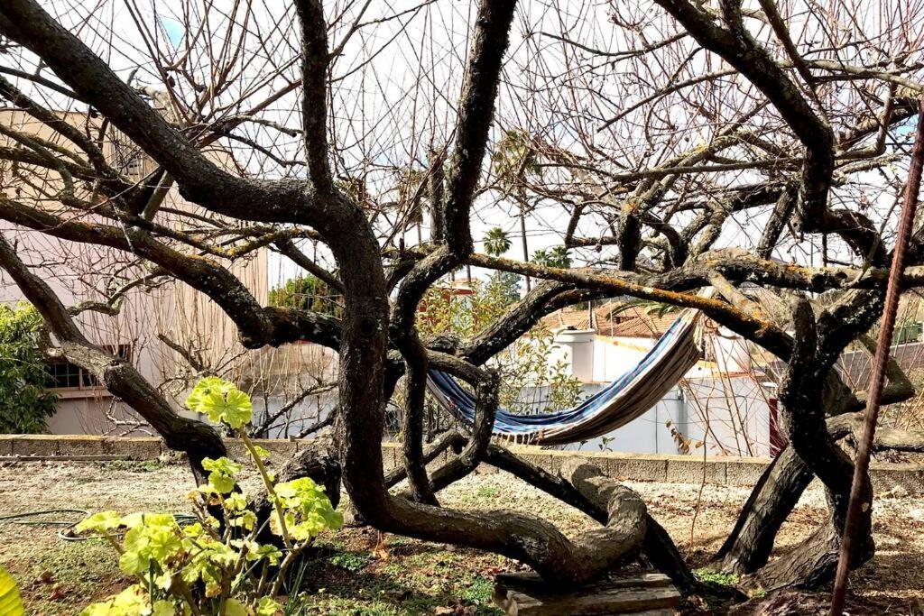 Casa Tia Ines Villa Vilaflor Bagian luar foto